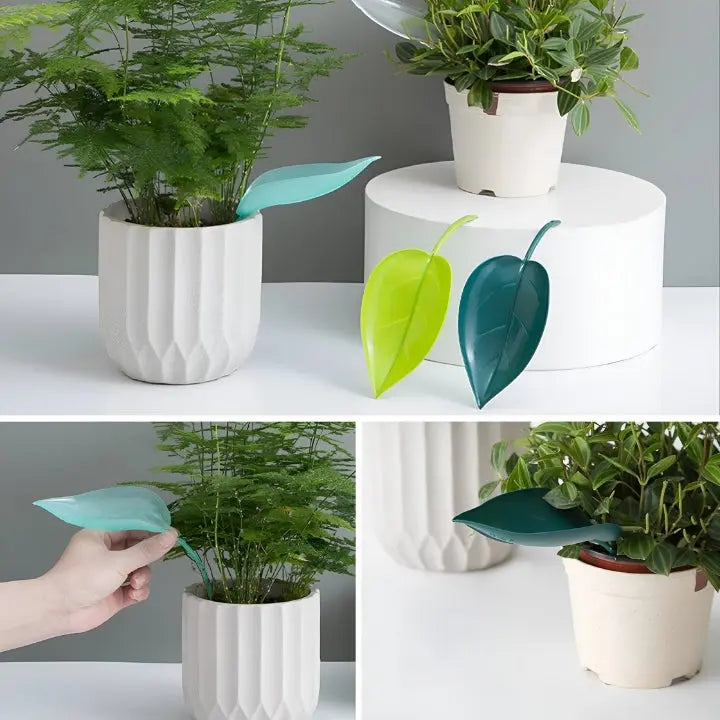 BowLift | SprayLeaf Sustainable Plant Care
