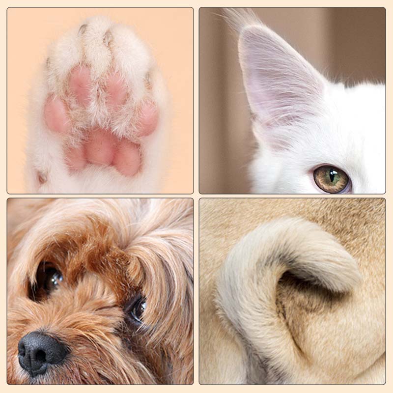 BowLift | Pet Hair Trimmer With Led Light
