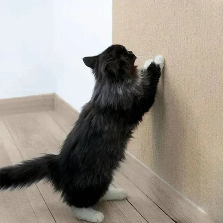 BowLift | SCRATCHHAVEN – Stylish scratching mat for cats to protect your furniture