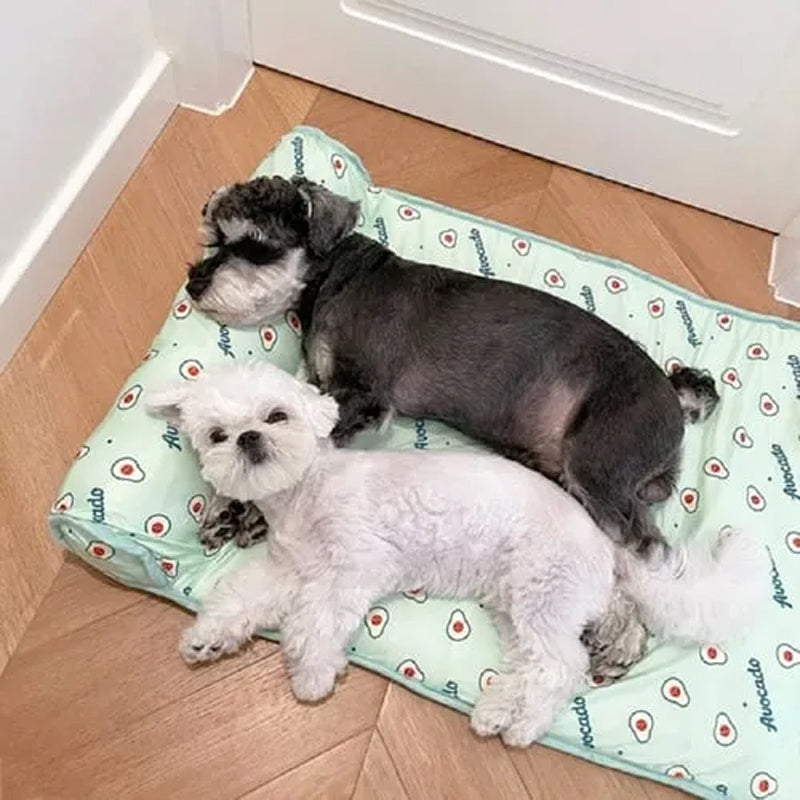 Ice silk cooling mat for pets | Bowlift