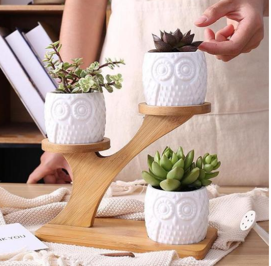 BowLift | Decorative plant stand made of wood – plant pots in owl design for succulents and indoor plants