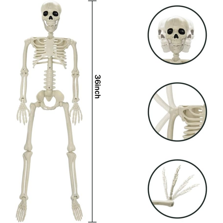 Full Body Skeleton Halloween Decoration – Scares Guaranteed, Fun for All Bowlift