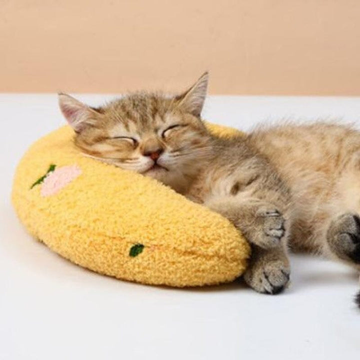 Cat Lovely Comfortable Cushion Bowlift