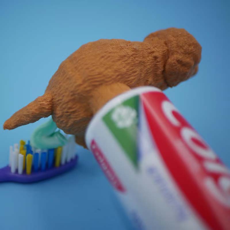 BowLift | Funny Toothpaste Dispenser