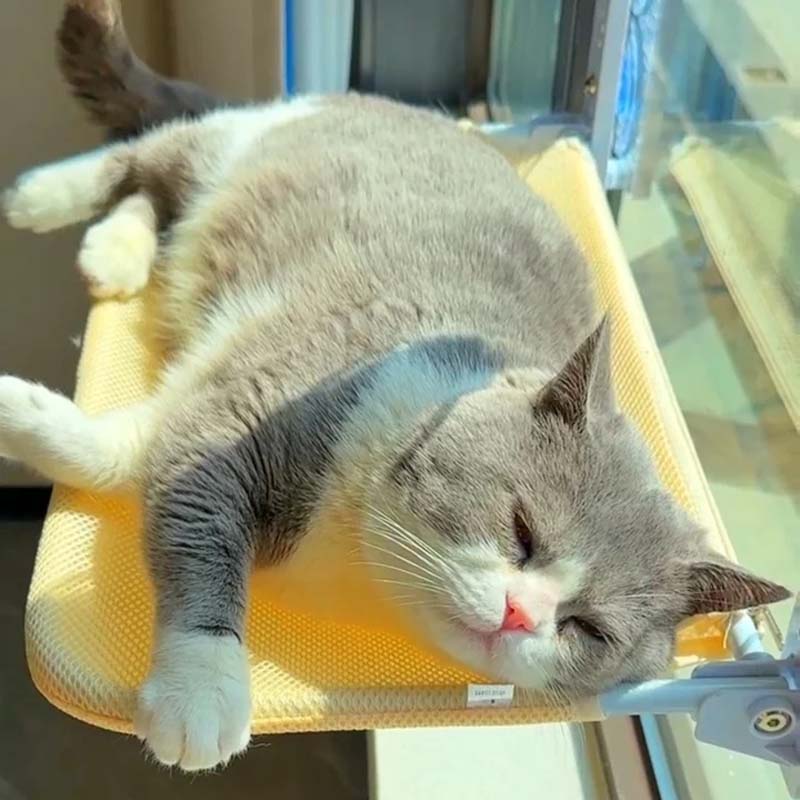 BowLift | Foldable Cat Window Bed