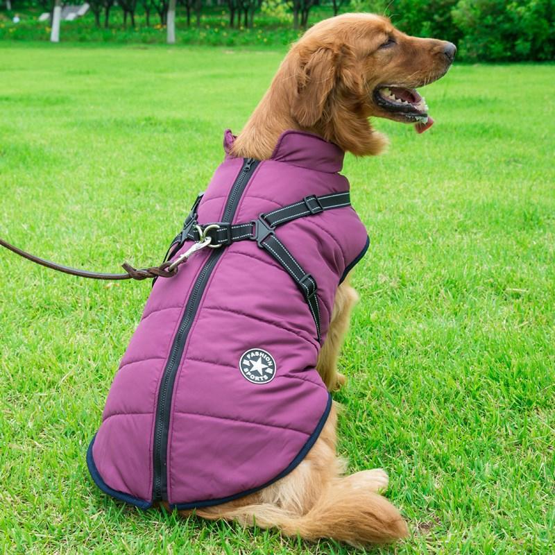 Winter coat with zipper for dogs | Bowlift