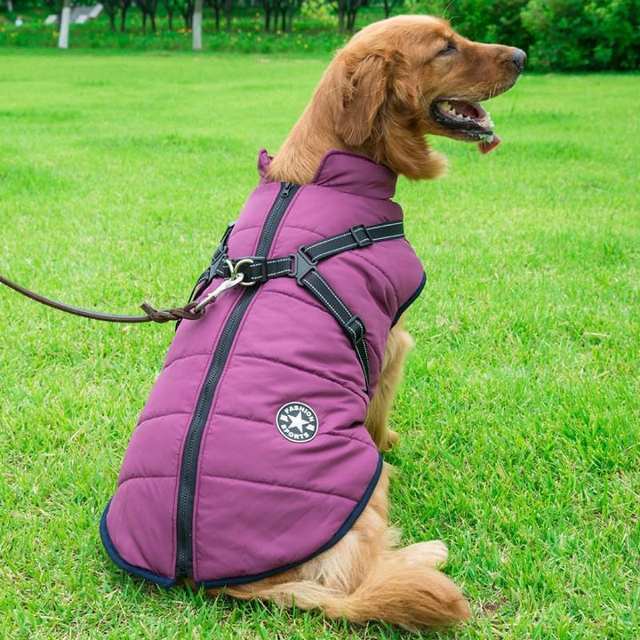 Winter coat with zipper for dogs | Bowlift