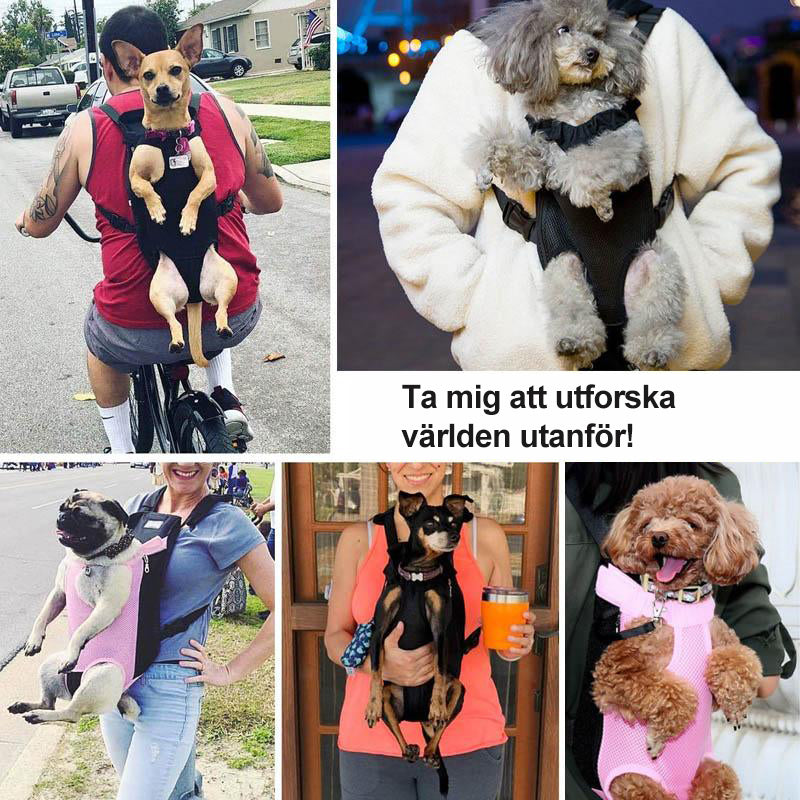 BowLift | Pet Backpack Front