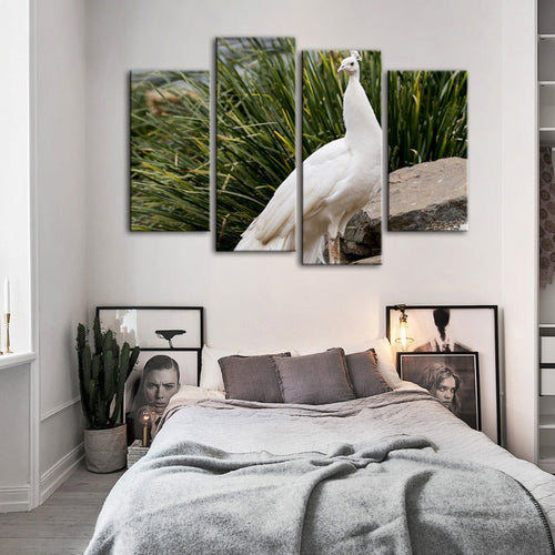 4 Piece Regal Albino Peacock - Canvas Wall Art Painting | Bowlift