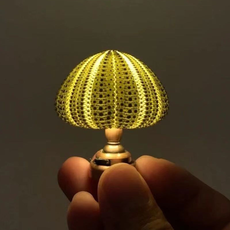 BowLift | DIY Sea Urchin Night Light