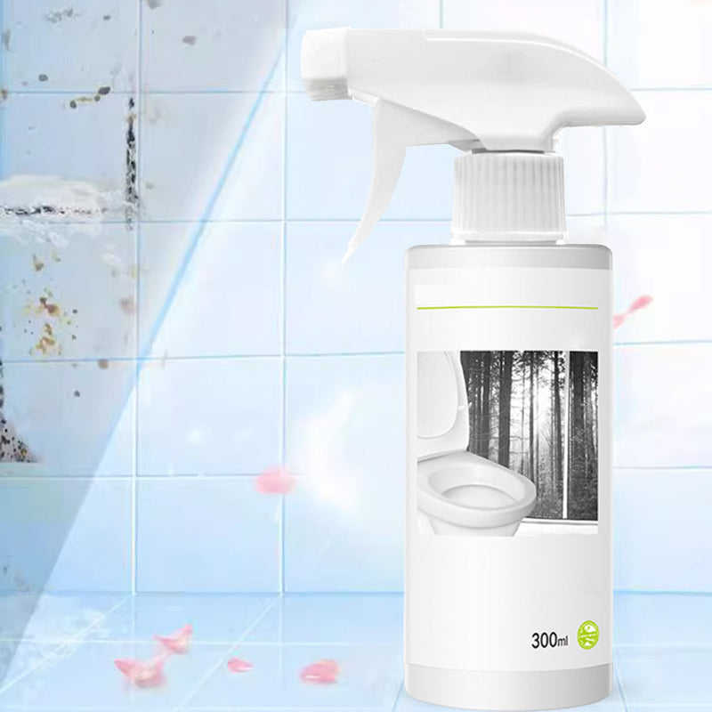 BowLift | Powerful Oxalic Acid Stain Toilet Glass Cleaner