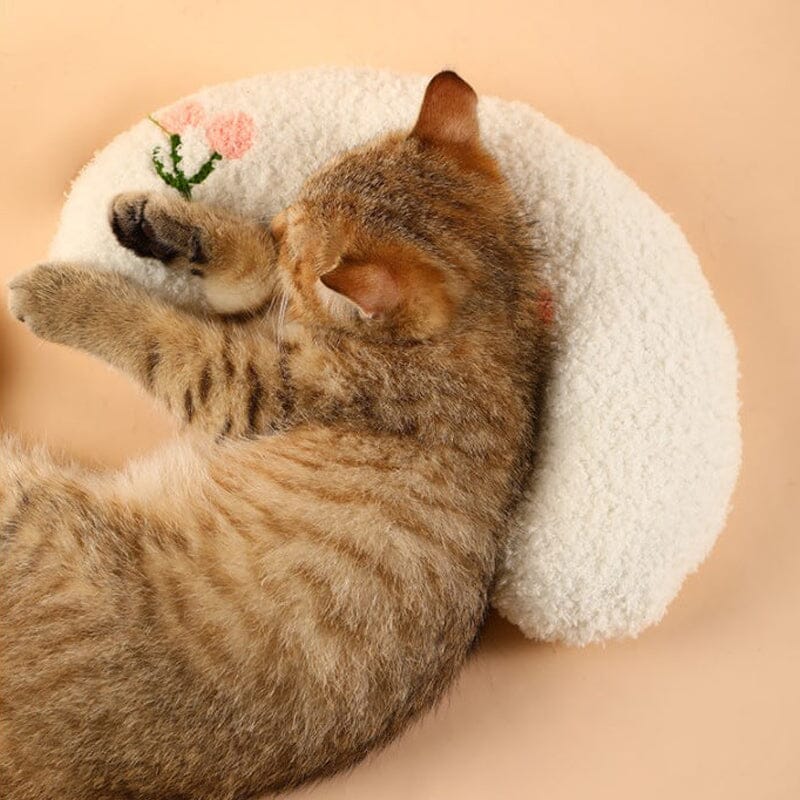 Cat Lovely Comfortable Cushion Bowlift