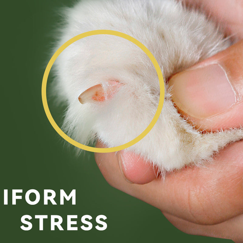 BowLift | Effortless Pet Nail Clipper