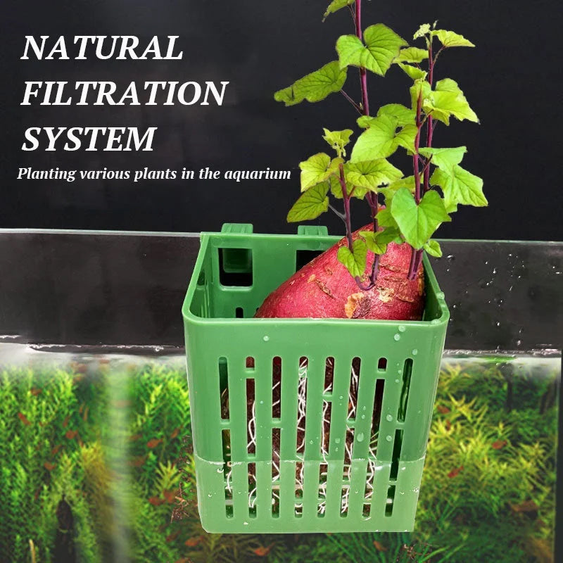 BowLift | Fish Tank Hydroponic Planting Basket
