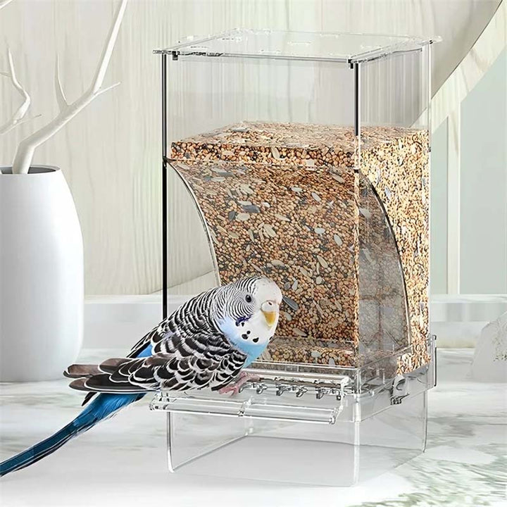 BowLift | Automatic No-Spill Transparent Bird Feeder