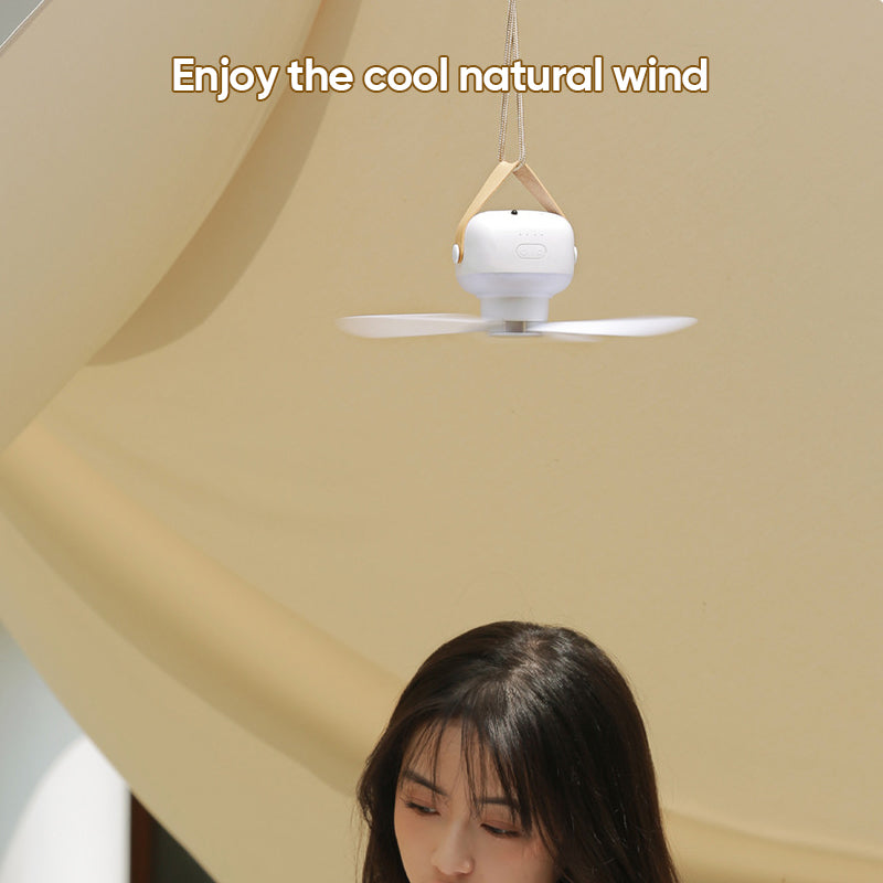 Portable Silent Ceiling Fan | Bowlift