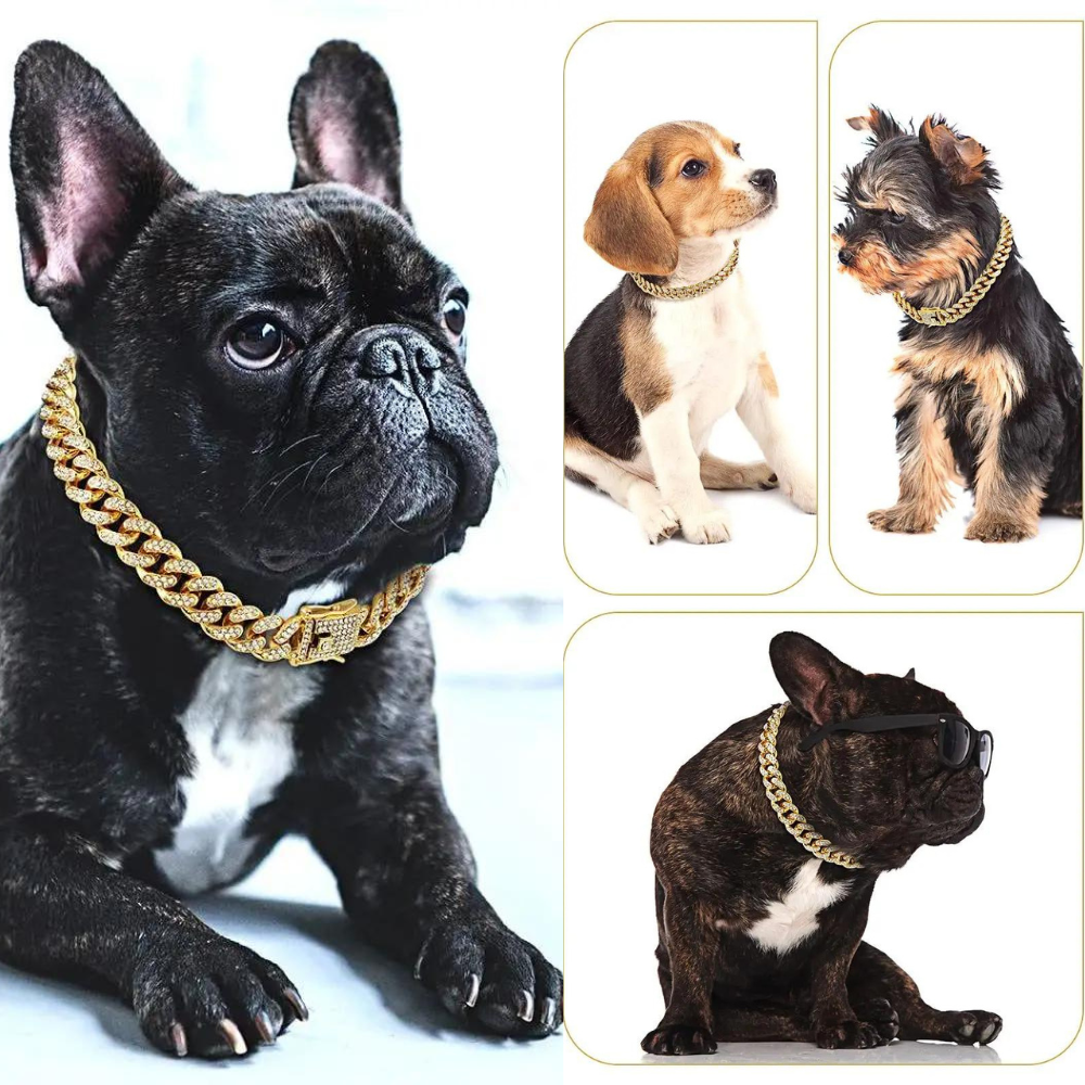 BlingPaws • Dog Gold Chain Collar