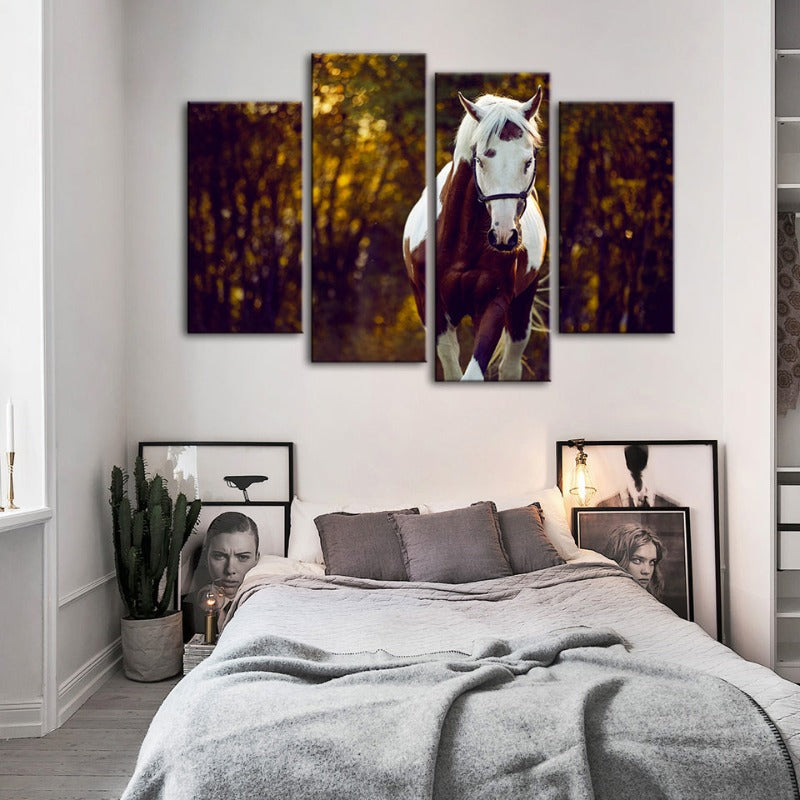 4 Piece Courtly Overo Horse - Canvas Wall Art Painting | Bowlift