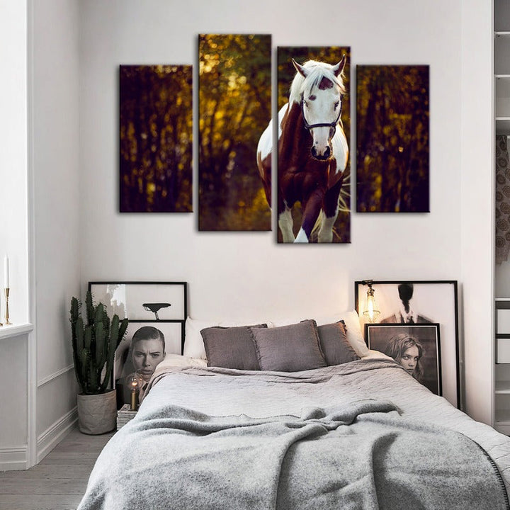4 Piece Courtly Overo Horse - Canvas Wall Art Painting | Bowlift