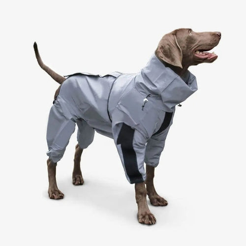 BowLift | Waterproof Dog Coat with Legs – Reflective Dog Rain Jacket for Small & Large Breeds | Best Rain Coat for Dogs UK