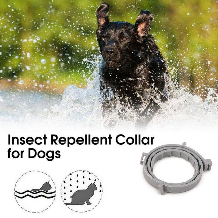 BowLift | Adjustable Insect Defense Collar for Pets