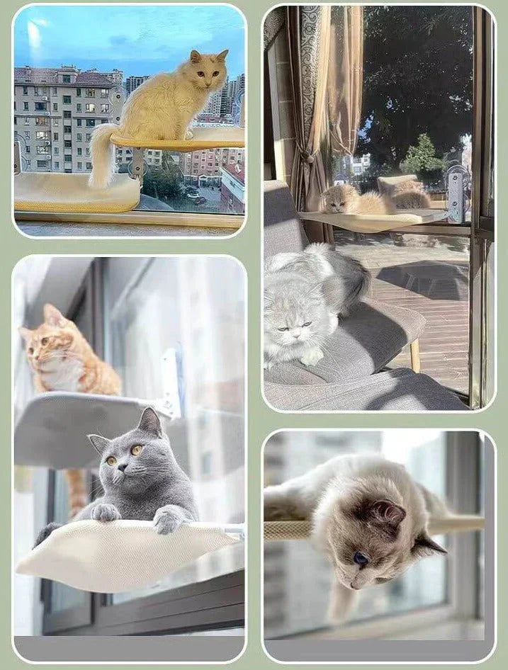 Wall-Mounted Cat Lounge - SkyRest Bowlift
