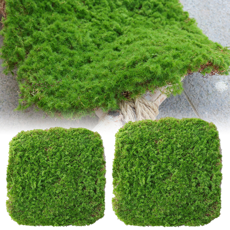 BowLift | Moss Cover Piece – Moss Flakes Ornament for Decoration and Landscaping