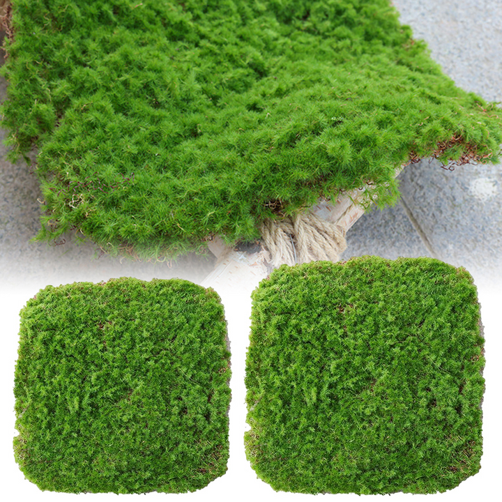 BowLift | Moss Cover Piece – Moss Flakes Ornament for Decoration and Landscaping