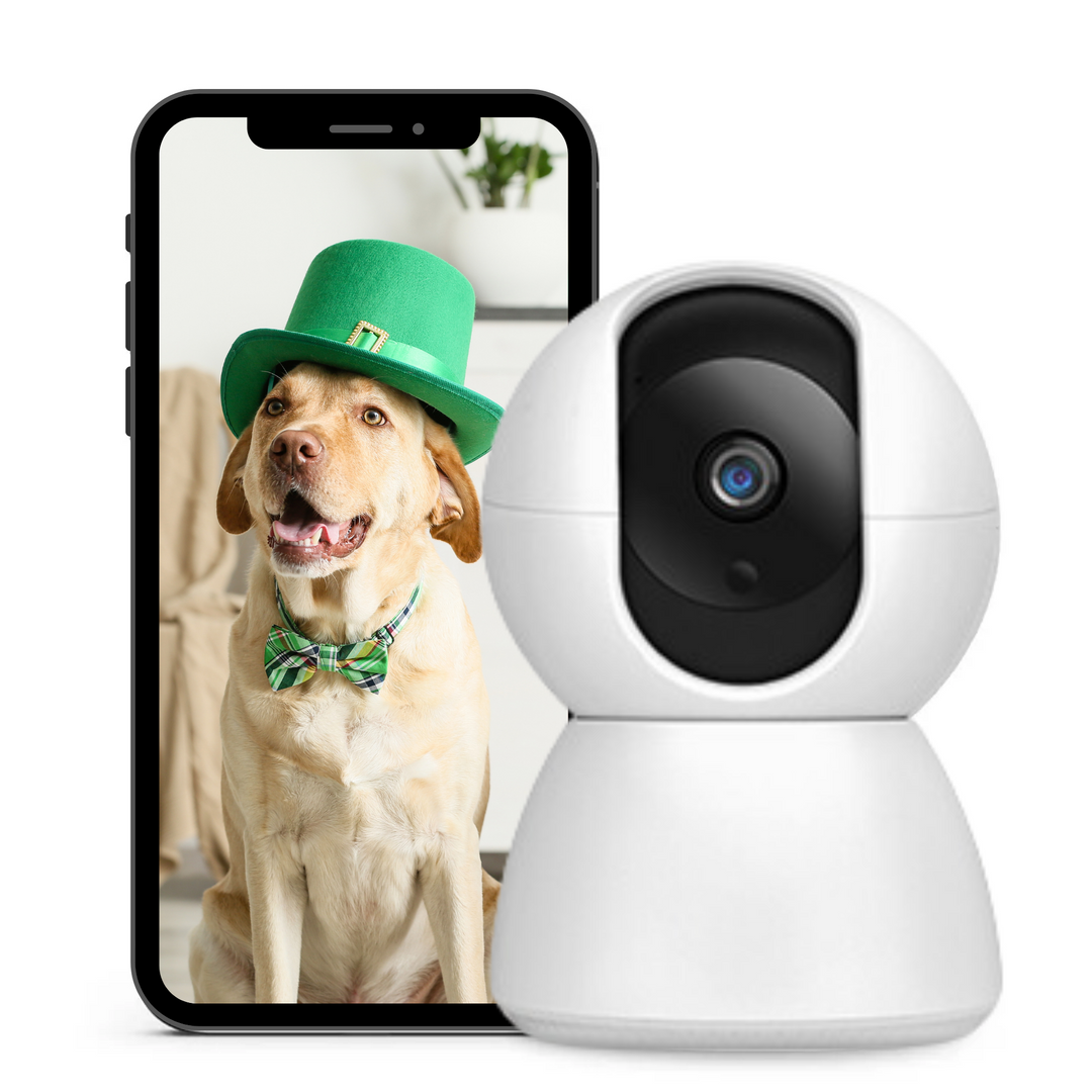 BowLift | Premiumpets Smart Camera - Stay Connected with your Pet