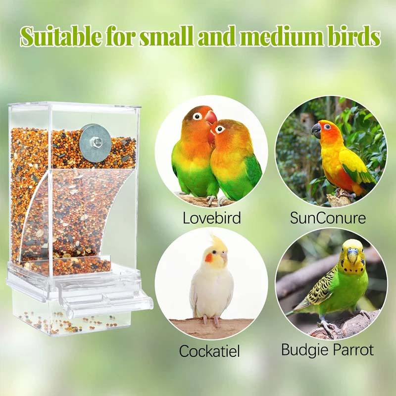 BowLift | Automatic No-Spill Transparent Bird Feeder