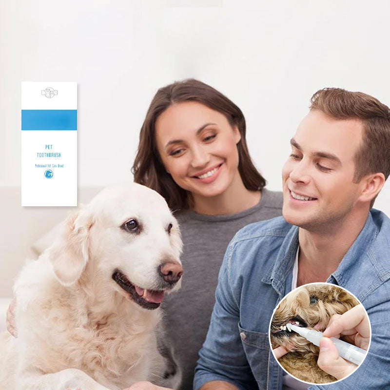New improved toothbrush pen for pets | Bowlift