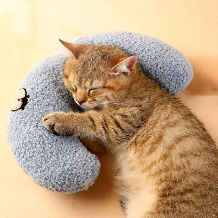 Cat Lovely Comfortable Cushion Bowlift