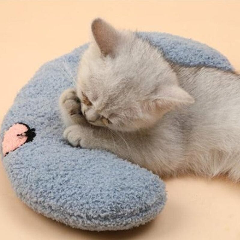 Cat Lovely Comfortable Cushion Bowlift