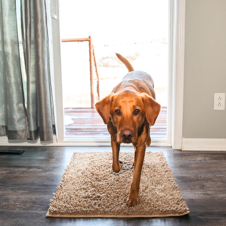 BowLift | Joep Dog Door Mat – Super Absorbent Mat for Dirty Paws