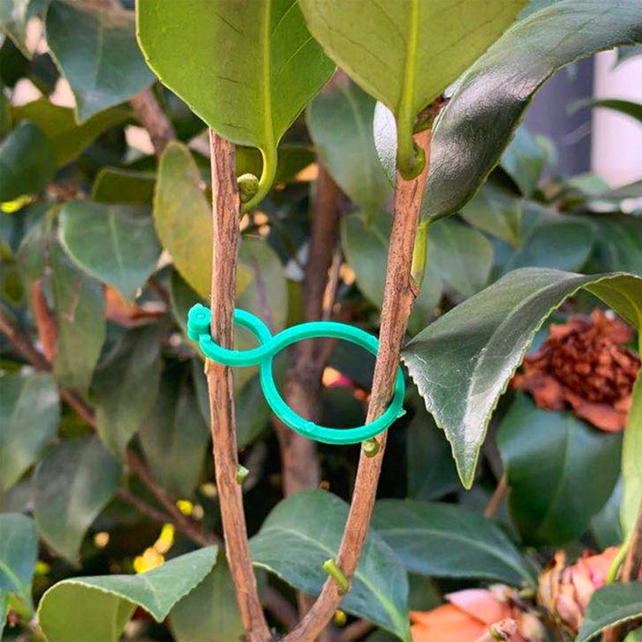 BowLift | Practical garden plant holder (50 pieces)