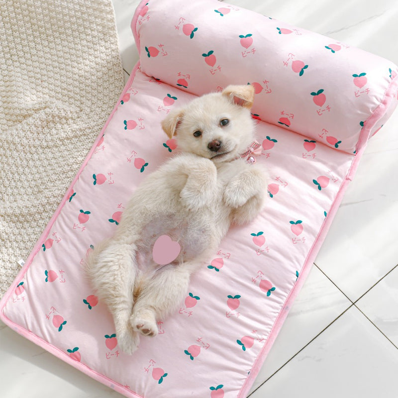 Ice Silk Cooling Mat for Dogs & Cats🐶 | Bowlift