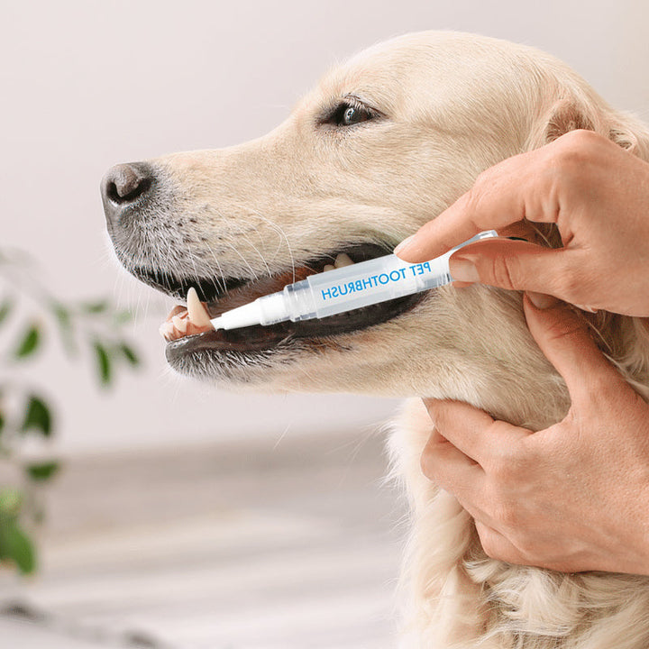 New improved toothbrush pen for pets | Bowlift