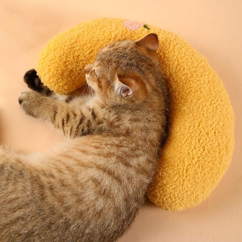 Cat Lovely Comfortable Cushion Bowlift