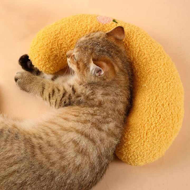 Cat Lovely Comfortable Cushion Bowlift