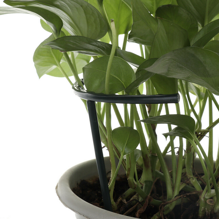 BowLift | Climbing support for plants – Robust holder with cage design for growth and stability