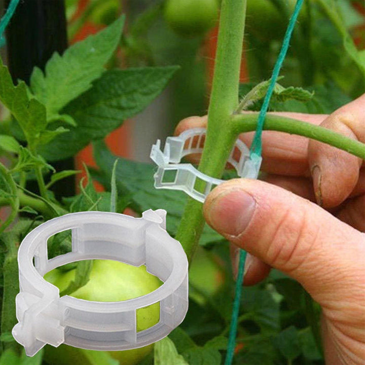BowLift | Practical Plant Support Clip