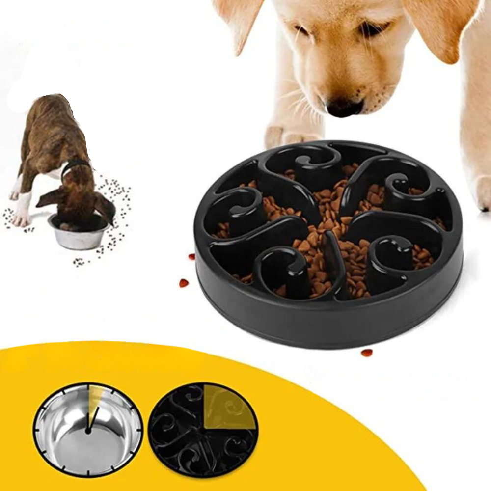 EcoBowl •  Dog Feeding Bowl Slow