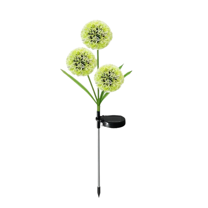 BowLift | GlowBloom