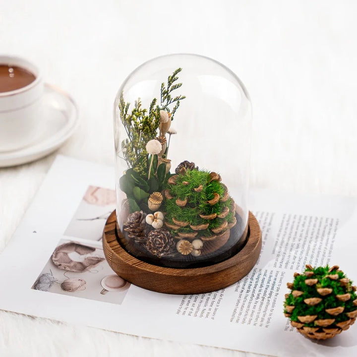BowLift | EternaBloom Night Light