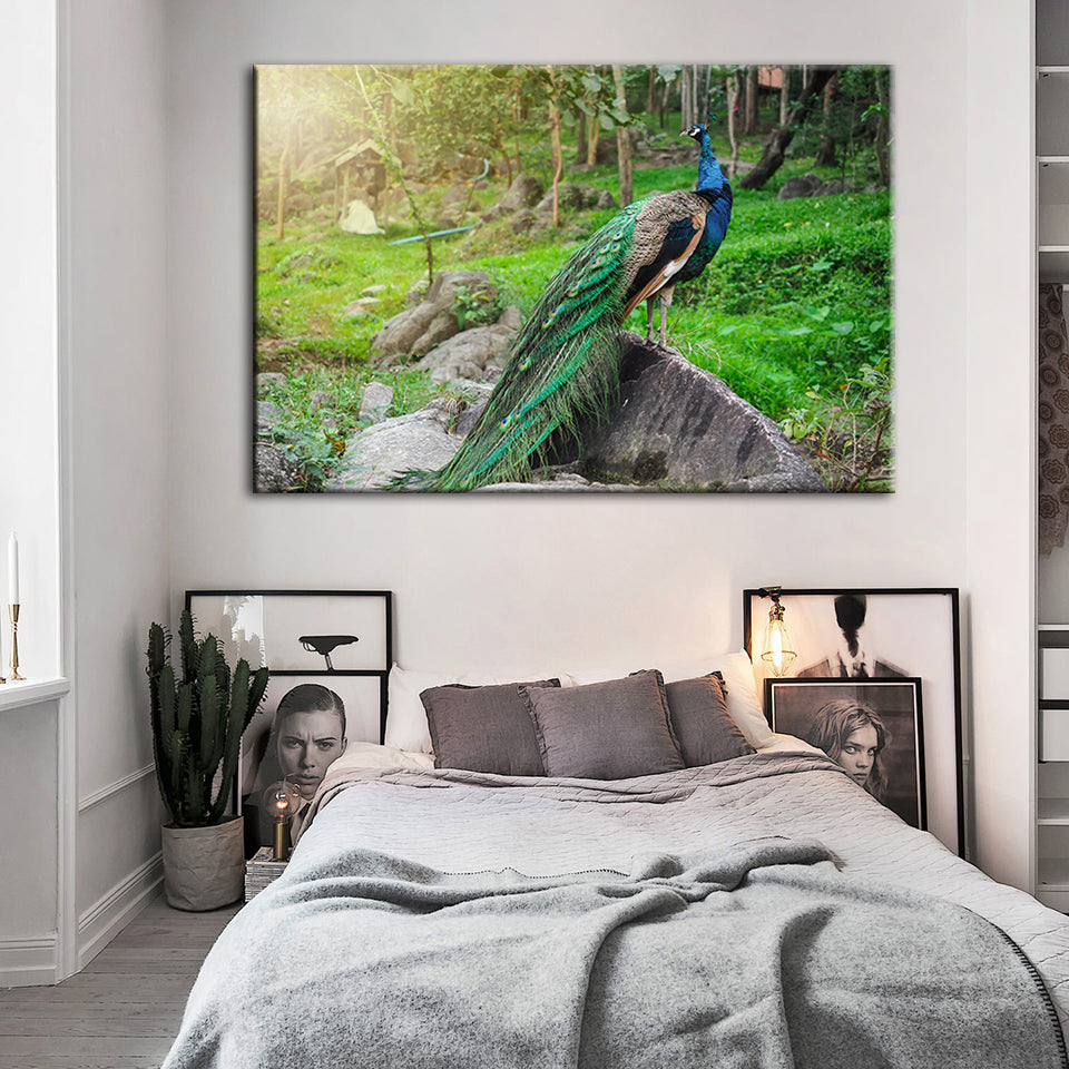Dignified Sunlit Peacock - Canvas Wall Art Painting | Bowlift
