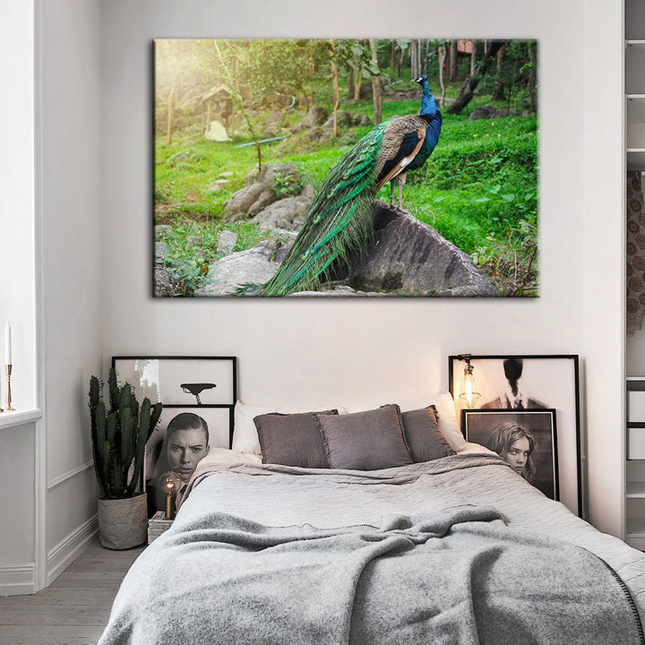 Dignified Sunlit Peacock - Canvas Wall Art Painting | Bowlift