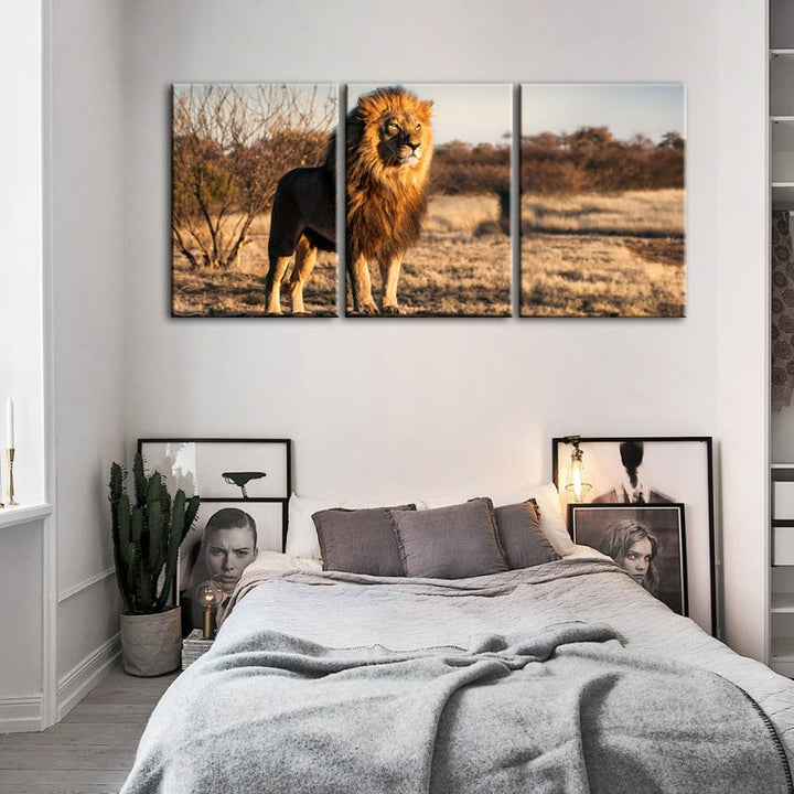 Majestic Lion Bathed In Sunlight-Canvas Wall Art Painting 3 Pieces | Bowlift