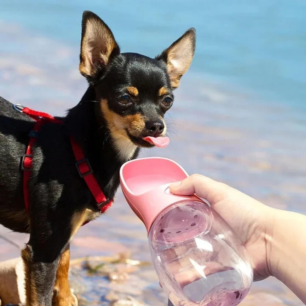 AquaPaws • Portable Dog Water Bottle