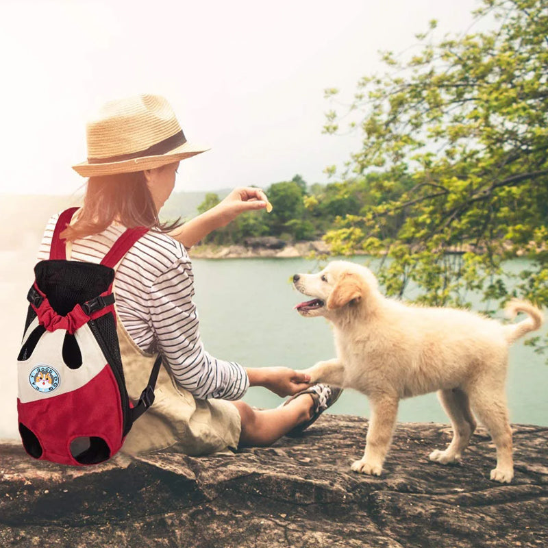 BowLift | Portable backpack for dogs and cats on travels