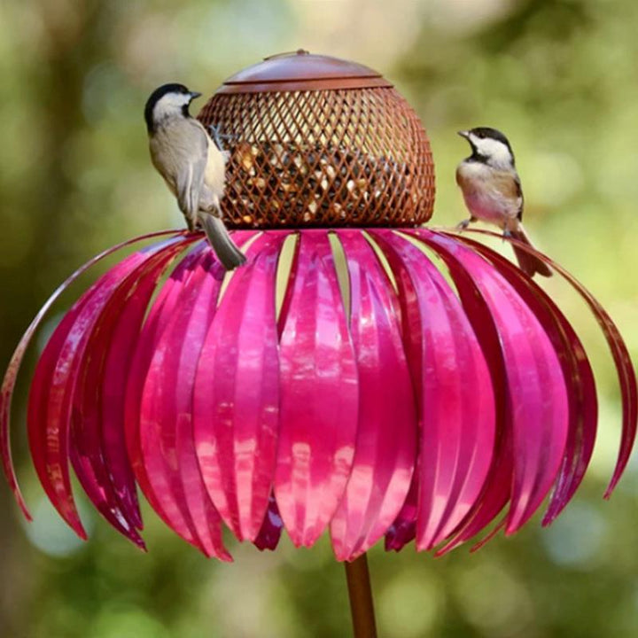 Bird Feeding Station D'éChinacéE | Bowlift